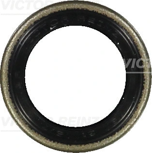 Shaft Seal, camshaft (WG1249962)