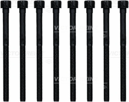 Cylinder Head Bolt Set (WG1103232)