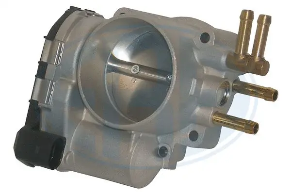 Throttle Body (WG1494965)