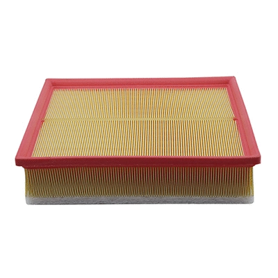 Air Filter (WG2168579)