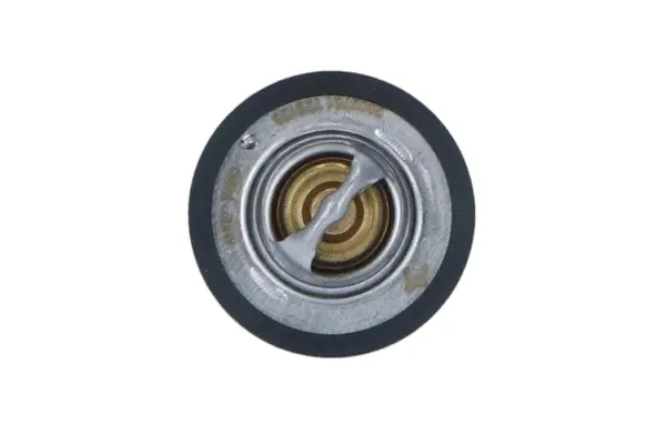 Thermostat, coolant (WG2184745)