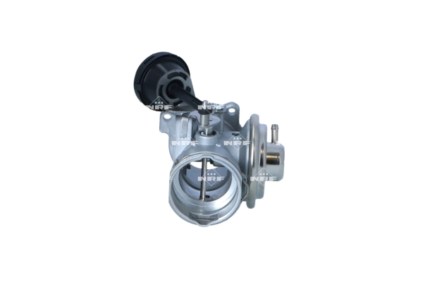 EGR Valve (WG2184500)