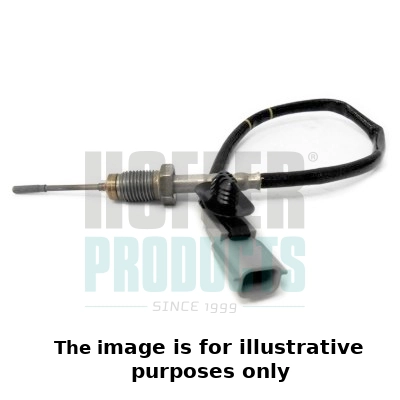 Sensor, exhaust gas temperature (WG2262909)