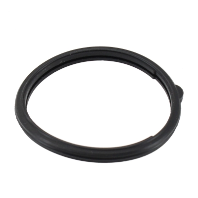 Seal, thermostat (WG2193968)