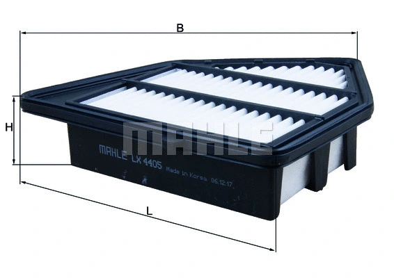 Air Filter (WG1916645)