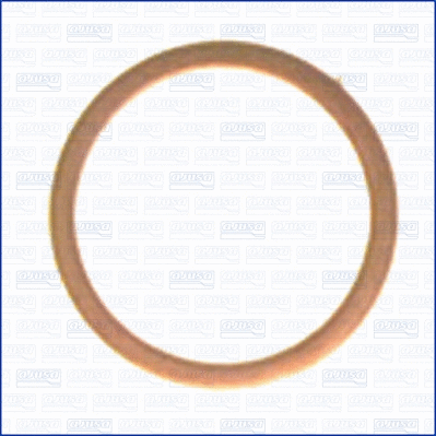 Seal Ring, oil drain plug (WG1451964)