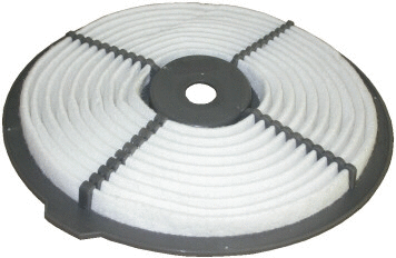 Air Filter (WG1747411)