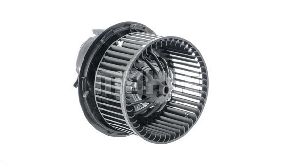 Interior Blower