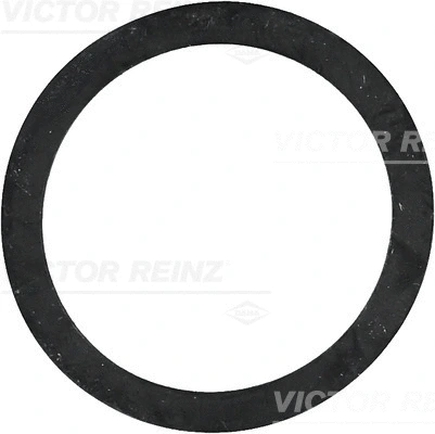 Seal Ring (WG1243750)