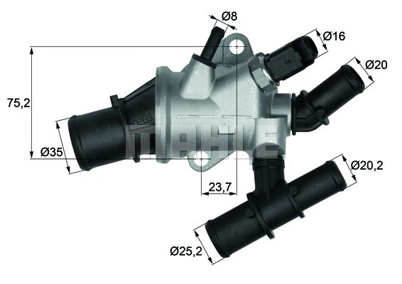 Thermostat, coolant (WG1217609)