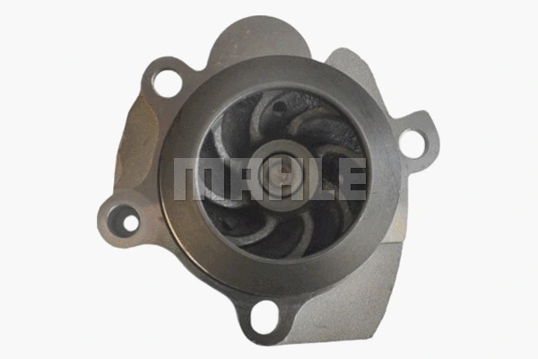 Water Pump, engine cooling (WG2181550)