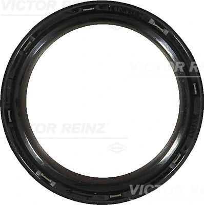 Shaft Seal, camshaft (WG1250419)