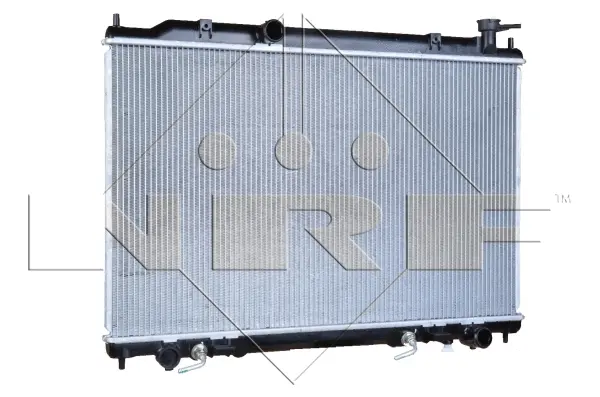 Radiator, engine cooling (WG1723042)