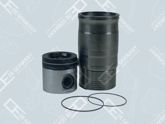 Repair Set, piston/sleeve (WG2102645)