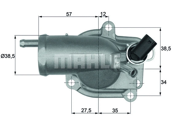 Thermostat, coolant (WG1104025)