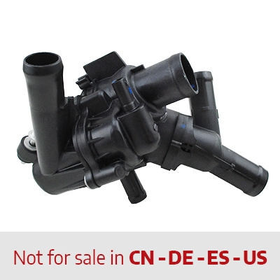 Thermostat, coolant (WG2101079)