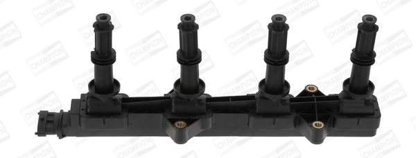 Ignition Coil (WG2009153)