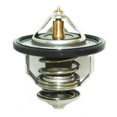 Thermostat, coolant (WG1409238)