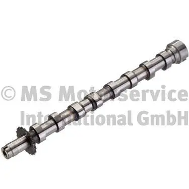 Camshaft (WG1361251)