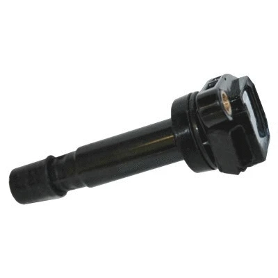 Ignition Coil (WG1012501)