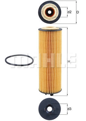 Oil Filter (WG1916660)