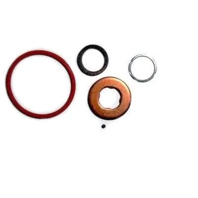Repair Kit, injection nozzle (WG2263540)