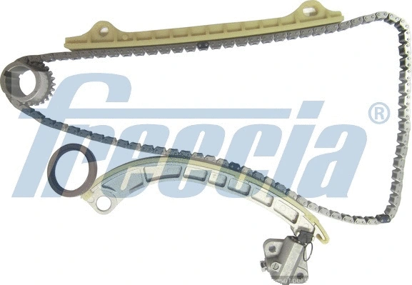 Timing Chain Kit (WG1909981)