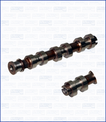 Camshaft (WG1170779)