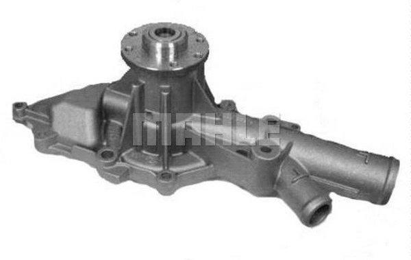 Water Pump, engine cooling (WG2181494)