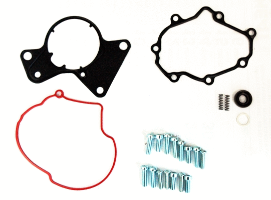 Repair Set, vacuum pump (braking system) (WG2263284)