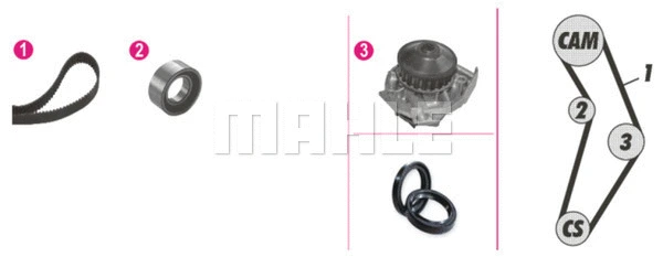 Water Pump & Timing Belt Kit (WG2182150)