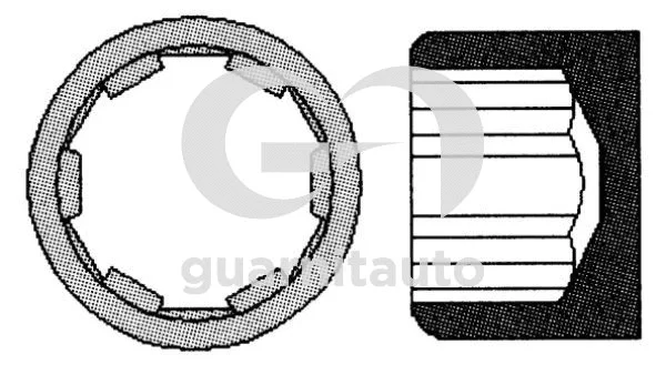 Cylinder Head Bolt Set (WG2135108)