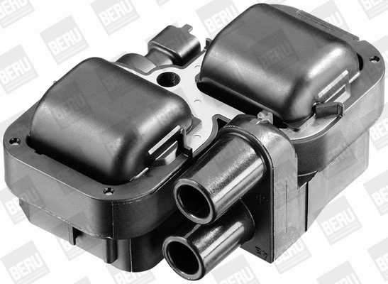 Ignition Coil (WG1487367)