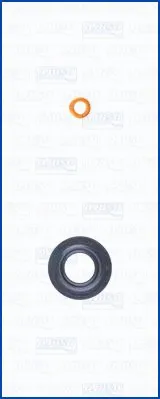 Seal Kit, injector nozzle (WG2172806)