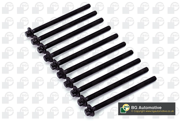 Cylinder Head Bolt Set (WG1489980)
