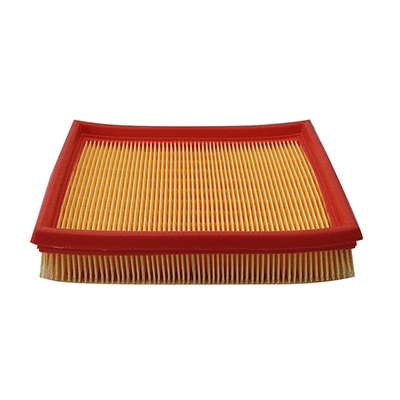 Air Filter (WG2152033)