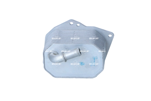 Oil Cooler, engine oil (WG2158919)