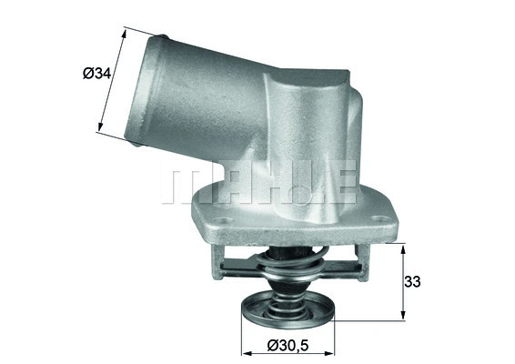 Thermostat, coolant (WG1217581)