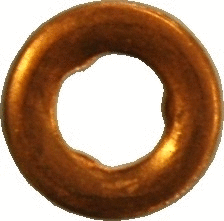 Seal Ring, nozzle holder (WG1012115)
