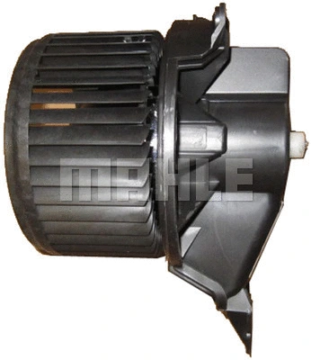 Interior Blower