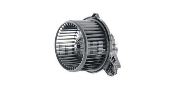 Interior Blower