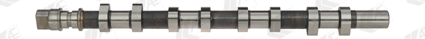 Camshaft (WG1462560)