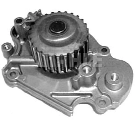 Water Pump, engine cooling (WG2181657)