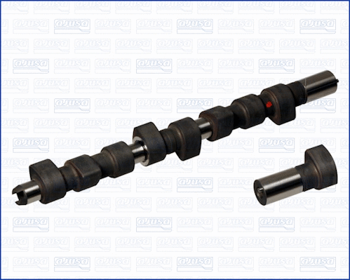 Camshaft (WG1171338)