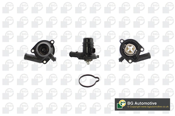 Thermostat, coolant (WG1814379)