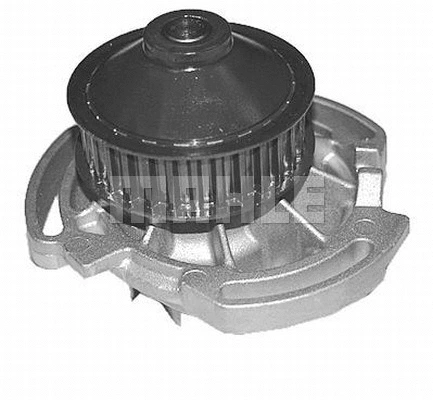 Water Pump, engine cooling (WG2181451)