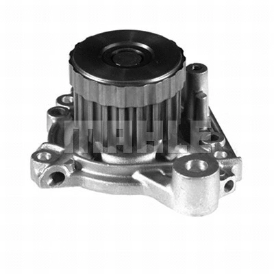 Water Pump, engine cooling (WG2181440)