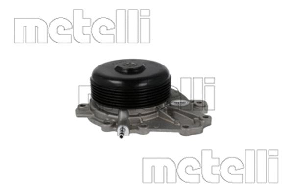 Water Pump, engine cooling (WG2261483)