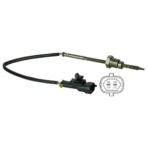 Sensor, exhaust gas temperature (WG1807798)