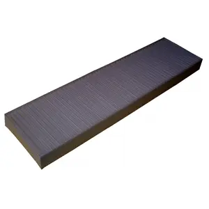 Filter, cabin air (WG1774698)